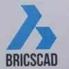 Logo Briscad
